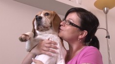 Maznanie sa so zvieratami môže byť nebezpečné! Toto vám hrozí