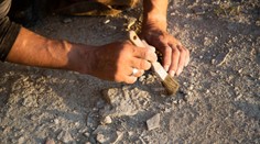 Vedci zrekonštruovali podobu najstaršieho známeho predka človeka. Štvoroké čudo objavili v Číne