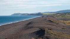 V Anglicku riešia záhadu: More vyplavilo pozostatky tvora, ktorý „klame telom“
