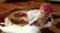 Opakuj po mne! Psík ukazuje sedemmesačnému dievčatku, ako sa má plaziť