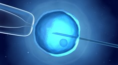 Asistovaná reprodukcia? Môže, ale nemusí vyjsť na prvý ani na desiaty pokus