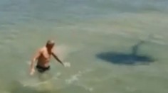 Jednoduchým vtipom nachytali celý svet