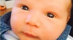 Teriér dohrýzol trojtýždňové bábätko. Chlapček útok neprežil