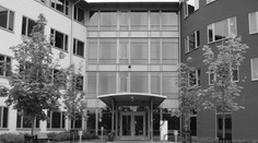 13 oveľa lepších optických klamov ako modro-čierno-bielo-zlaté šaty