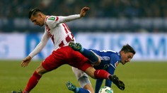 Schalke 04 Gelsenkirchen - 1. FC Kolín 2:2 v 14. kole nemeckej ligy