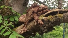 Falošný poplach: Plyšová hračka zburcovala ochrancov zvierat