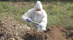 Lesy na Zemplíne nemusia byť také znečistené, ako sa čakalo. Odborníci odkrývali skládku v Strážskom