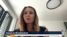 VIDEO: Lúčiacu sa Kvitovú považuje za najlepšiu hráčku na tráve. Rybáriková v TN live aj o favoritoch Wimbledonu