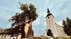 SHMÚ: Na západnom Slovensku a v Poprade môže v nedeľu silnejšie zafúkať