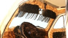 Bizarností nikdy nie je dosť. Takto vyzerá najchlpatejšie auto na svete