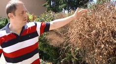 Rodina zo Sečoviec zažila po návrate domov šok. Takýto pohľad na záhradu nečakali