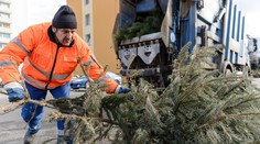 Stromčeky ešte nevyhadzujte, smetiari ich budú zbierať až o pár dní