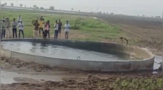 VIDEO: Prírodný úkaz alebo predtucha katastrofy? Živá studňa v Indii sa stala magnetom pre davy