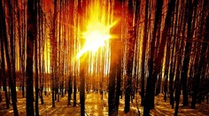 Najväčšiu šancu na najkrajšie počasie má zajtra stred Slovenka