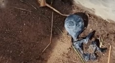 V bolívijskej dedine nakrútili záhadného tvora. Zábery údajného mimozemšťana vyvolali senzáciu