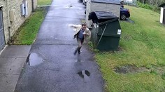 VIDEO: Učiteľ prežíval chvíle hrôzy. Zo školského odpadkového koša naňho hľadel medveď