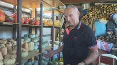 Vypestoval tekvicu s hmotnosťou 233 kilogramov. Úspech je podľa neho hotová alchýmia