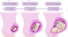 Pozrite si, čo všetko sa mení v ženskom tele počas tehotenstva