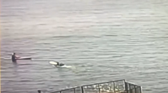 V Kalifornii útočil žralok. Plavec utrpel vážne zranenia nohy  brucha