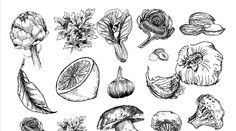 Objavte svet prírodných antibiotík