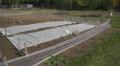 Pestovateľov čaká ďalšia bezsenná noc. Zamrznúť môžu plody na stromoch a v záhradách