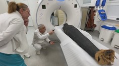 Odhalili niečo nečakané: Vedci zverejnili výsledky CT vyšetrenia múmie zo slovenského múzea