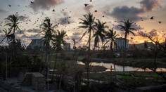 Počet obetí mimoriadne silného hurikánu Otis stúpol v Mexiku na 39