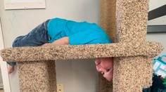 Chlapec sa doma hlavou zakliesnil v mačacom strome. Keď ho zbadali hasiči, museli sa smiať