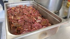 Ministerstvo hovorí o stmeľovaní špecialitami z medveďa. Hotelierov sme sa pýtali, či chcú ponúkať mäso z ulovených šeliem