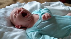 Chceme mať doma Lucifera? Nie je problém