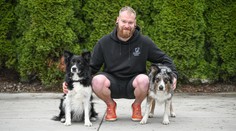 Pes sa dá vycvičiť bez trestov a strachu. Pozrite sa, ako jednoducho a veľmi efektívne (+ video)