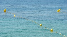 Pozor na tieto veci v mori na Jadrane: Chorváti varujú turistov, aby sa ich nedotýkali