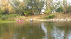 Tragédia na južnom Slovensku. Matka si s deťmi šla zaplávať do rieky, utopila sa ona aj jedna z dcér (†7)