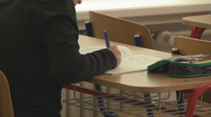 Bojujú o miesto v bežnej škole pre syna so zdravotným znevýhodnením. Rodičom dal za pravdu aj súd