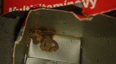 Takúto nechutnosť našla Klaudia v krabici od džúsu