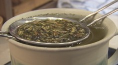 Príroda otvorila svoju „lekáreň“. Tieto bylinky nahrádzajú tabletky