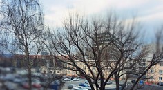 Najnešikovnejší zlodej Slovenska? Muž najprv kradol v potravinách, potom si našiel zvláštny úkryt