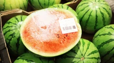 Takýto určite jedia aj mnohí z vás. Bývalá predavačka radí, aký melón si nikdy nekupujte