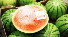 Takýto určite jedia aj mnohí z vás. Bývalá predavačka radí, aký melón si nikdy nekupujte
