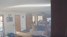 VIDEO: Psa zlákali palacinky položené na sporáku, pre pažravosť takmer podpálil byt