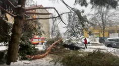 Chaos, popadané stromy aj zničené autá. Banskú Bystricu zavalil sneh (VIDEO)