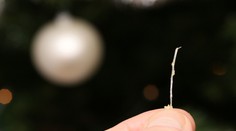 Uviazla vám kosť z vianočného kapra v hrdle? Nepanikárte, takto máte postupovať