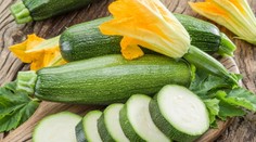 Záhradkári sa otrávili doma vypestovanou cuketou. Pozor, môže sa to stať aj vám!