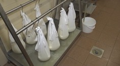 Začína sa sezóna jarnej bryndze, odborníci v nej vidia viacero pozitív