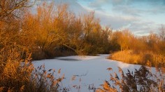 Počasie sa poriadne vylepší! Chystajte sa do prírody