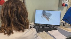 V obľúbenej destinácii sa šíri nebezpečná nákaza. Ochorenie sa objavilo už aj na Slovensku