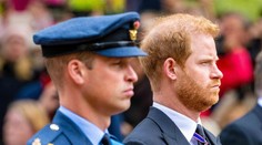 Vzťahy v monarchii chladnú. Zmierenie medzi princom Harrym a princom Williamom je stále v nedohľadne