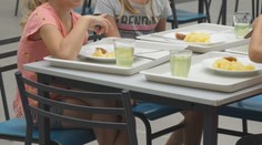 Daňový bonus alebo príspevok na obedy? Táto tabuľka vám pomôže zorientovať sa