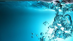 Koniec! Mimoriadnu vzácnosť už zo Slovenska zrejme nevyveziete