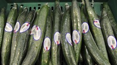 Známy reťazec už nebude baliť uhorky do fólie. Slovensko odbremení ročne o 15 ton plastu